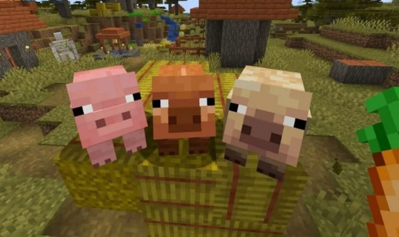 Tải Minecraft 1.21.60 Apk Tiếng Việt Mới Nhất Cho Android Biến Thể Lợn Mới Được Thêm Vào Game