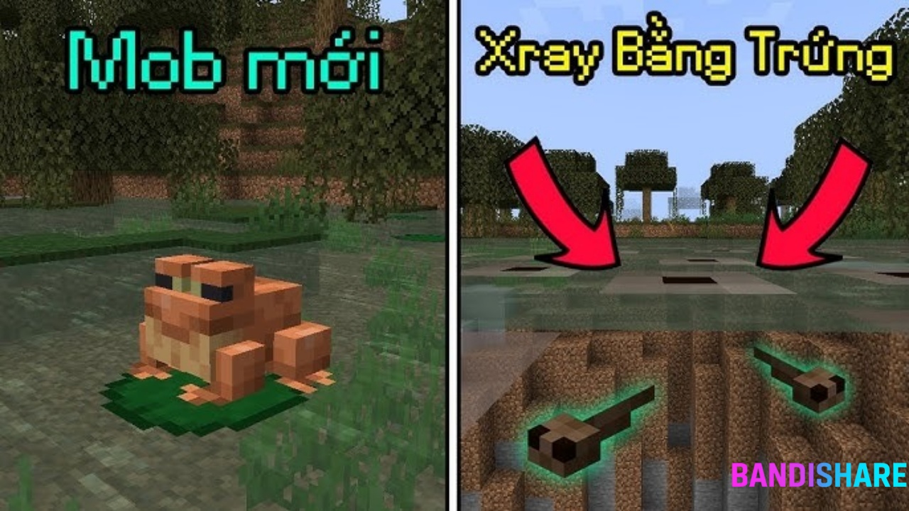 Tải Minecraft 1.19.0 Apk Tiếng Việt Miễn Phí Bản Dành Cho Android Ếch Và Nòng Nọc: Những Sinh Vật Đặc Biệt Trong Minecraft 1.19.0