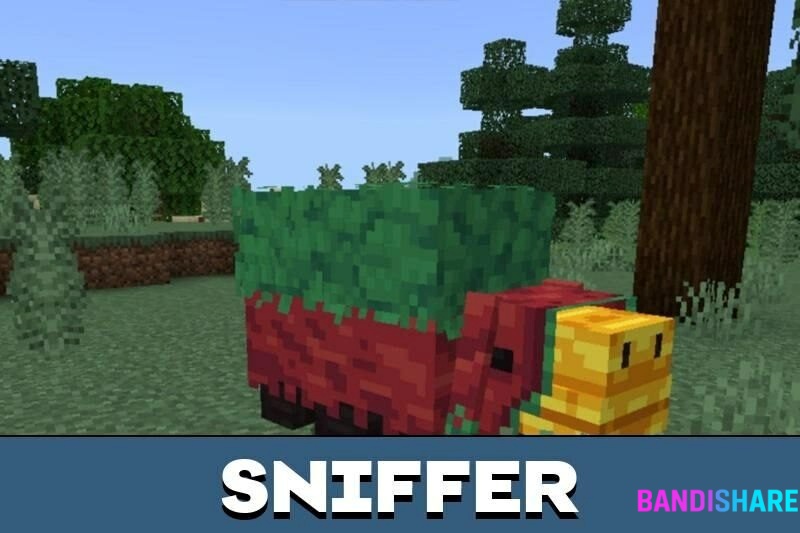 Tải Minecraft 1.19.83 Apk Tiếng Việt Dành Cho Android Bản Miễn Phí Sniffer – Người Bạn Đồng Hành Cổ Đại Đầy Thú Vị