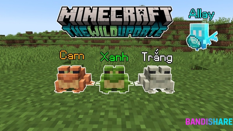 Tải Minecraft PE 1.19.10 Apk Tiếng Việt Mới Nhất Miễn Phí 100% Sự Phát Triển Của Ếch – Hệ Thống Tiến Hóa Theo Môi Trường
