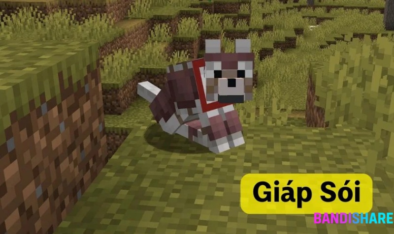 Tải Minecraft 1.20.81 Apk Tiếng Việt Miễn Phí Mới Nhất Trang Bị Áo Giáp Cho Sói – Đồng Hành An Toàn Hơn
