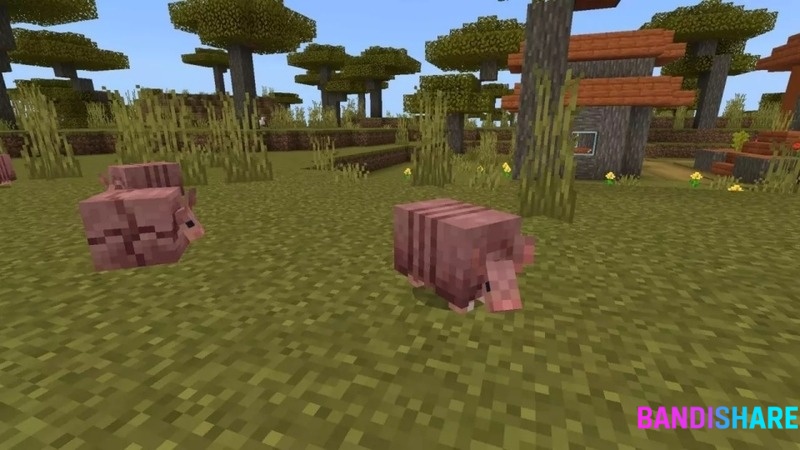 Tải Minecraft 1.20.81 Apk Tiếng Việt Miễn Phí Mới Nhất Armadillo Và Nội Dung Liên Quan Được Hoàn Thiện